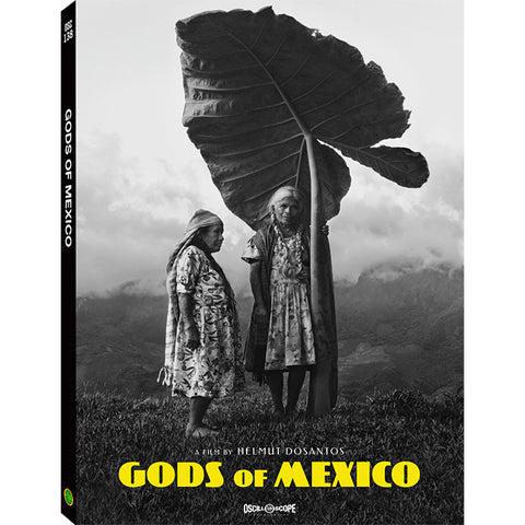 Gods of Mexico
