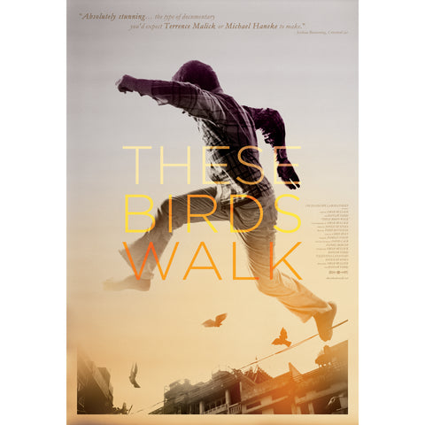 These Birds Walk Poster