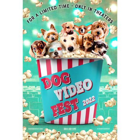 DogVideoFest 2022 Poster